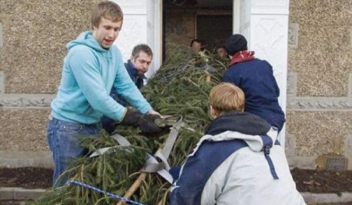 Provocarea zilei: Cum să instalezi un pom de Crăciun mai mare decât propria ta casă