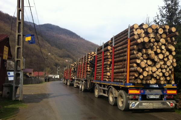 Amendat cu 1.000 de lei pentru că a sunat la radarul pădurilor, dar ar fi semnalat un transport legal