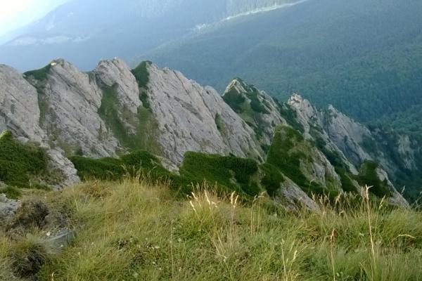 Raed Arafat ia în calcul șanse foarte mici ca pilotul planorului să fie în viață
