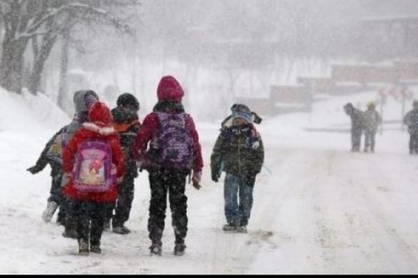 Vaslui: Şcolile din mediul rural şi oraşul Murgeni rămân închise şi marţi