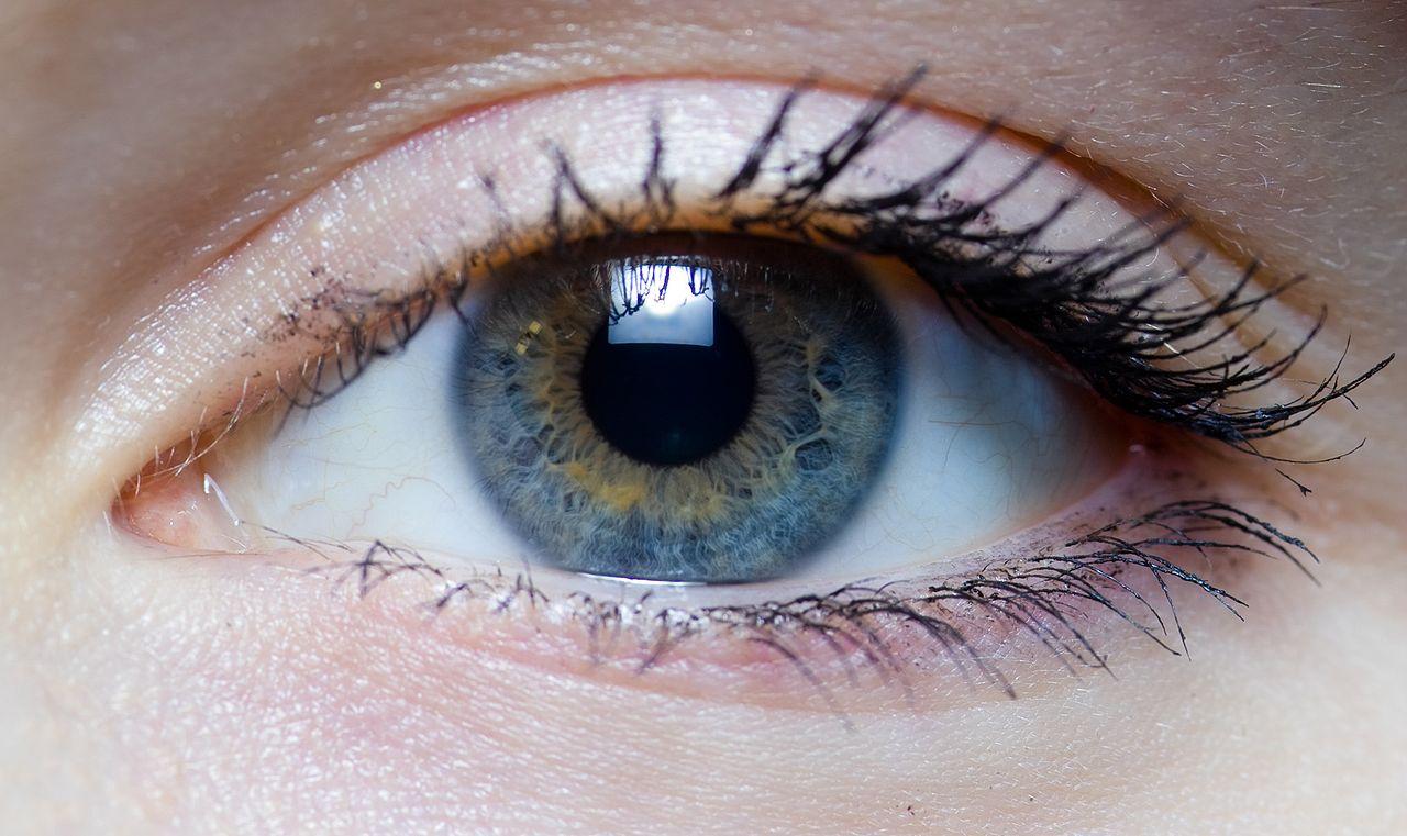 afectează viziunea astigmatismul ochii obosesc miopia