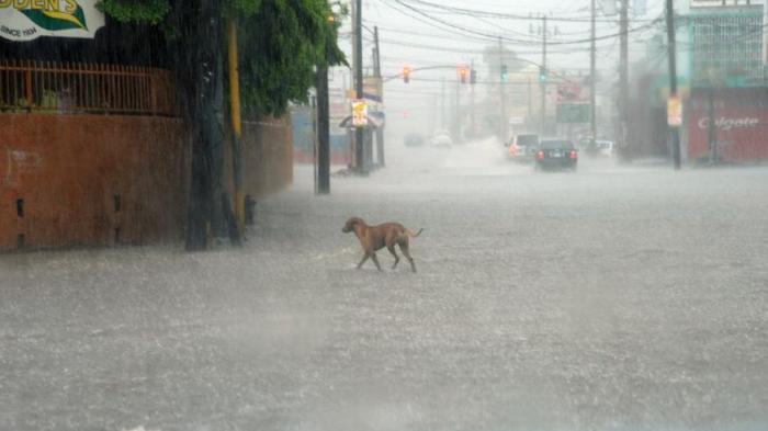 STARE de ALERTĂ în Cuba! Peste 300.000 de persoane, evacuate din calea dezastrului. Imagini TERIBILE cu zone măturate de uraganul Matthew (FOTO)