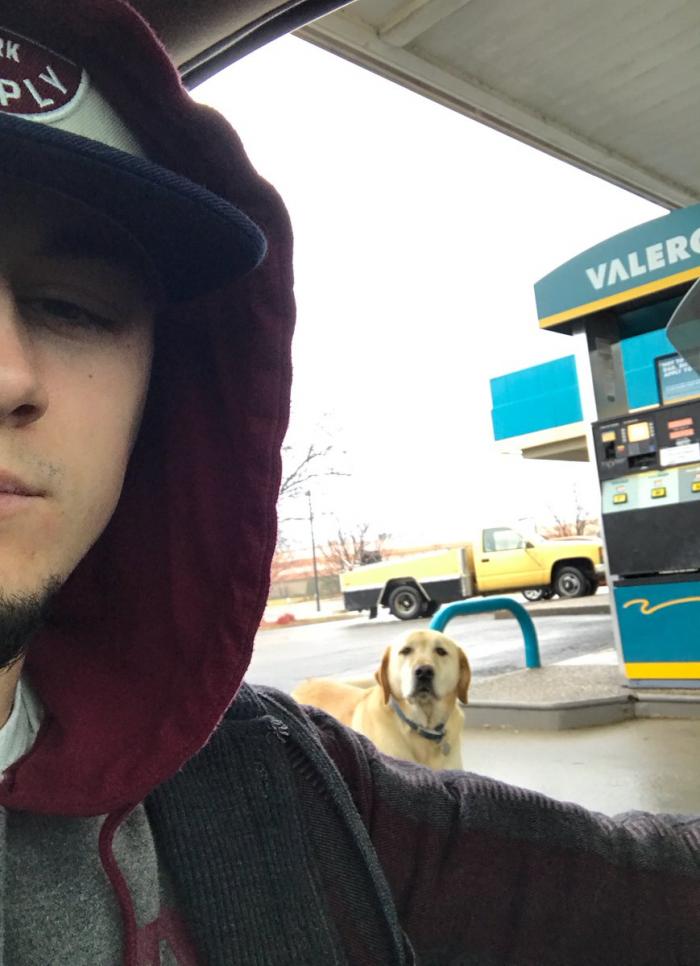 EMOȚIONANT! Un adolescent a găsit un câine rătăcit într-o benzinărie. A vrut să-l ajute, însă MESAJUL găsit pe zgarda labradorului l-a uluit complet
