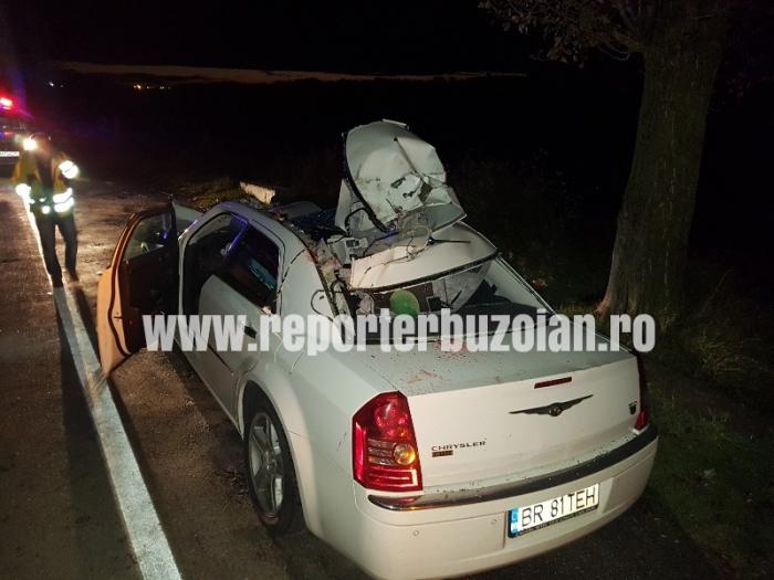 ACCIDENT TERIFIANT în Buzău! Un cal a strivit un Chrysler, după un impact infiorător, pe DN1B. Animalul a murit pe loc, şoferul a rămas încarcerat! (VIDEO)