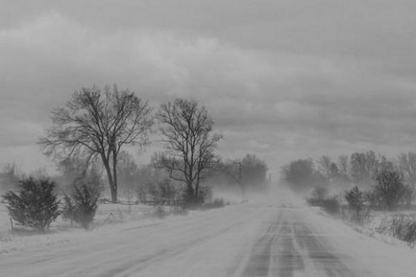 Avertizare meteo de ultimă oră. Viscol puternic în următoarele ore, în două judeţe ale ţării