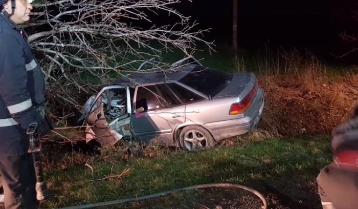 Tragedie în Constanţa, în apropiere de Ciocârlia! O tânără a murit după ce s-a izbit cu maşina de un copac. Şoferul este în stare critică (Video dramatic)