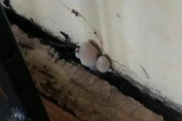 Directorul unui liceu, amendat cu 1.000 de lei după ce pe peretele unei clase a apărut asta! FOTO