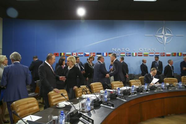 Statele Unite dau undă verde aderării Muntenegrului la NATO