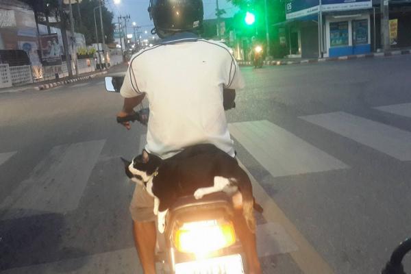 Un adolescent de 15 ani, ÎMPUŞCAT ÎN CAP, din mers, din cauza zgomotului pe care îl făcea motocicleta