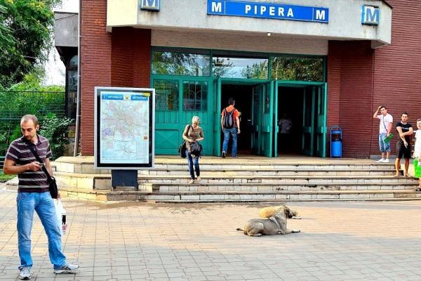 Metrorex a anunţat că se închide staţia de metrou PIPERA