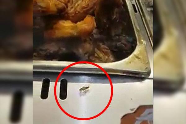 IMAGINI DE COŞMAR într-un magazin aglomerat din Capitală! Gândacii COLCĂIE printre mâncarea gătită - VIDEO