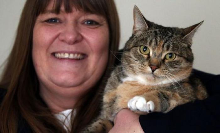 O pisică și-a salvat stăpâna de la moarte, de două ori, după ce a avertizat-o că are cancer la sân