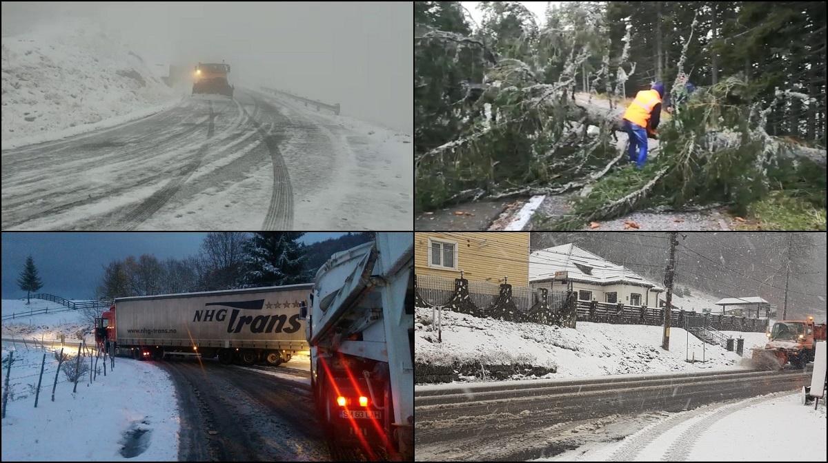 Ninsorile şi vântul puternic fac prăpăd în ţară. Morţi, răniţi, copaci rupţi, oameni blocaţi în zăpadă, maşini derapate