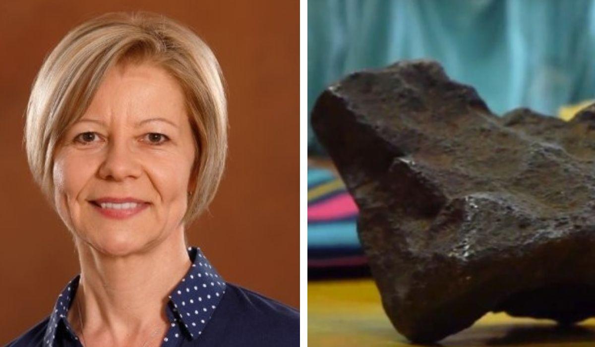 O profesoară româncă la Universitatea din Michigan, descoperire istorică în curtea unei case