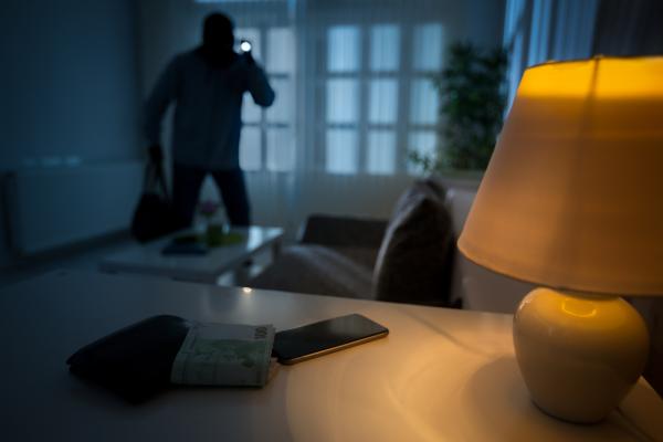 Ce nu știai despre felul în care acționează hoții și modurile prin care îți poți securiza casa