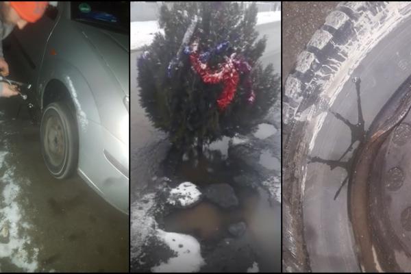 Brad împodobit, în gropile de pe DN41, în Călărăși. Oamenii sunt disperați că nimeni nu repară șoseaua și trag un semnal de alarmă (Video)