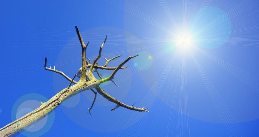 Din ultimii 22 de ani, 20 s-au numărat printre cei mai calzi înregistraţi vreodată Specialiştii avertizează că temperatura medie anuală ar putea creşte cu 3 până la 5 grade Celsius