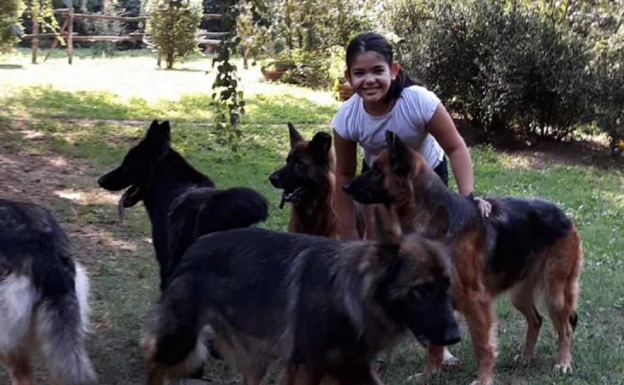 Fetiţa de 8 ani a murit într-un cumplit accident, la Oradea Al doilea transplant pediatric de cord din România a fost realizat la Târgu Mureş