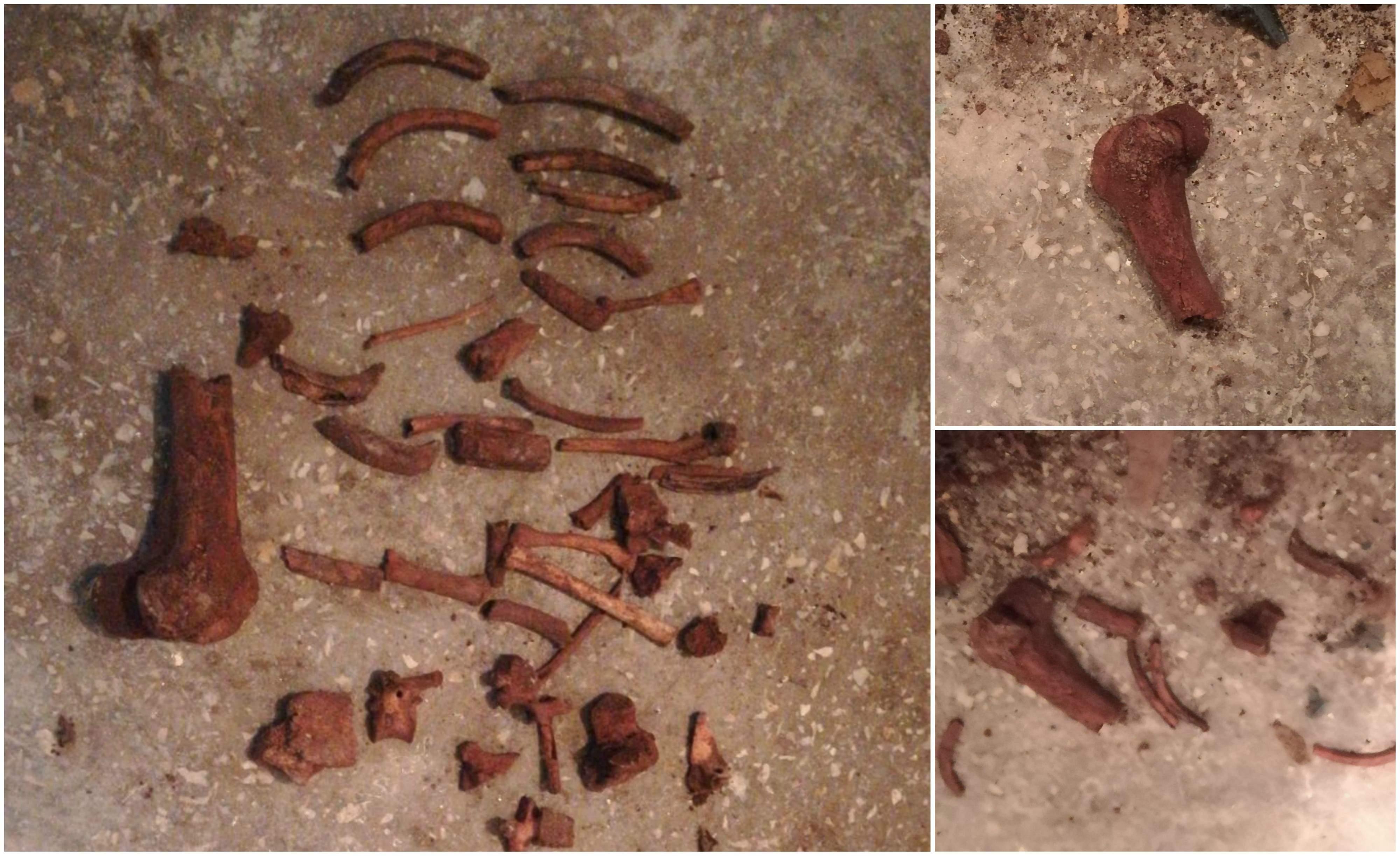 În garsoniera din Gorj, în care s-a găsit scheletul unei fetiţe zidit în baie, a locuit o bătrână care spunea tuturor că aude plânsete de copil