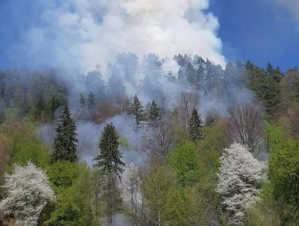 Pericol de explozie la Bacău. În zona în care arde pădurea s-a descoperit muniţie neexplodată. Intervin pirotehniştii