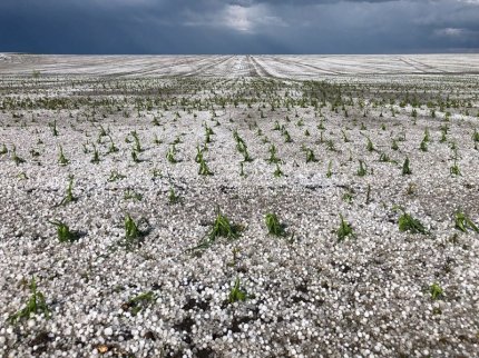 Imagini incredibile la Botoşani după o furtună cu grindină