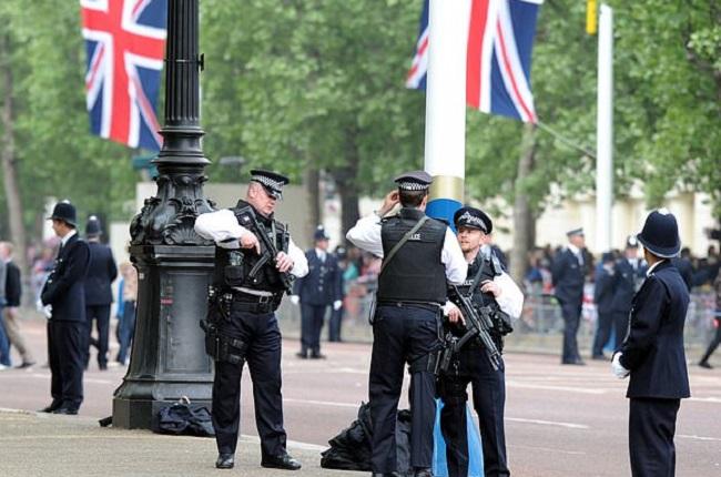 Serviciul Național de Poliție Aeriană, Poliția din Thames Valley, Poliția de Transport Britanică, Poliția Metropolitană și Poliția Surrey. se vor ocupa se serviciul de securitate la Nunta Regală