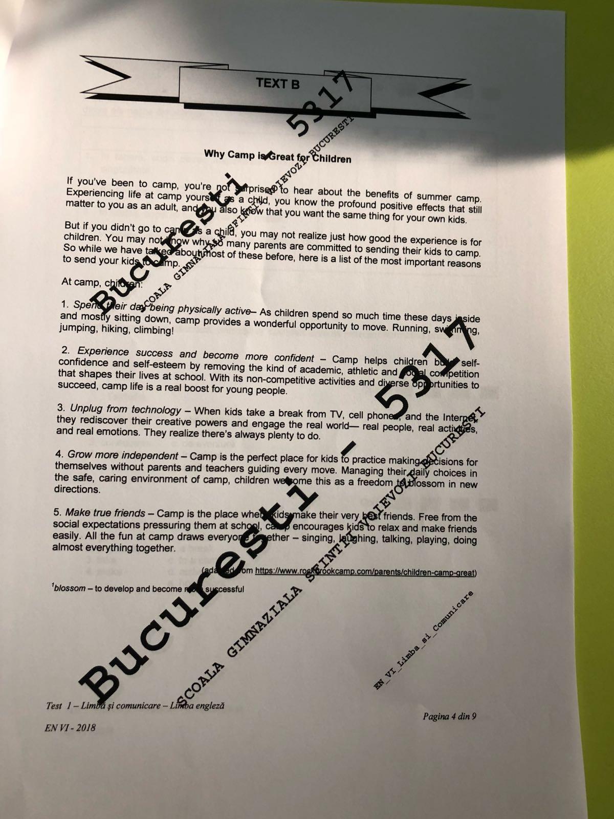 Subiecte Evaluare Nationala 2018 clasa a VI-a la Limba Engleză