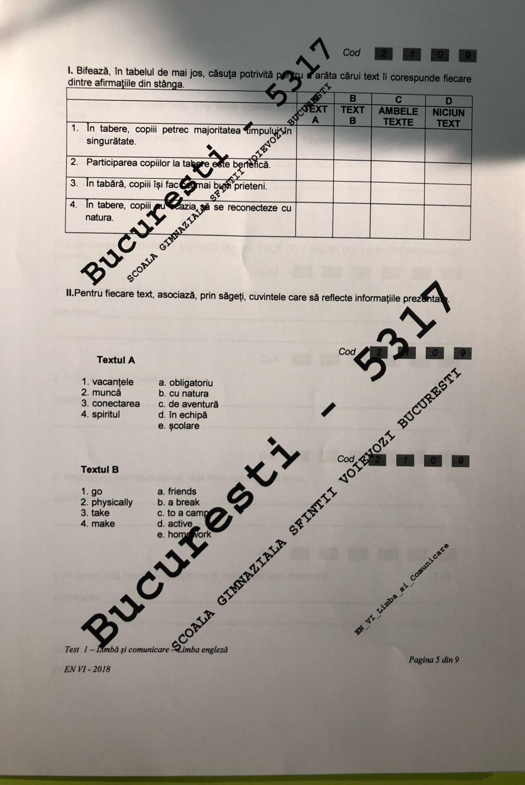 Subiecte Evaluare Nationala 2018 clasa a VI-a la Limba Engleză