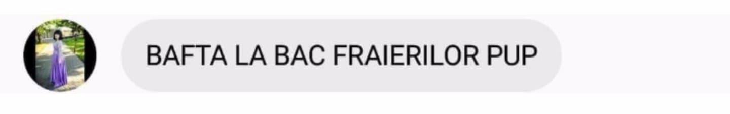 Fiica ministrului Educaţiei, implicată într-un scandal înainte de Bacalaureat