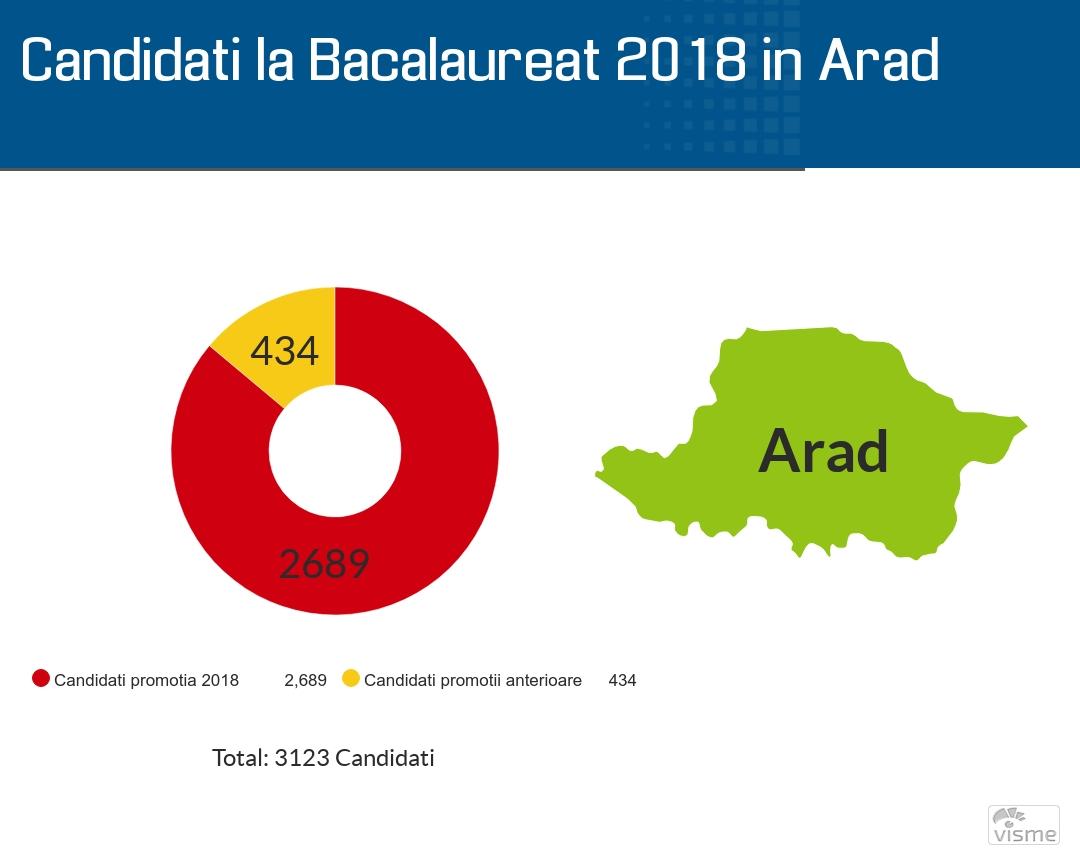 Rezultatele la Bac 2018 in Arad vor fi afisate pe 4 iulie