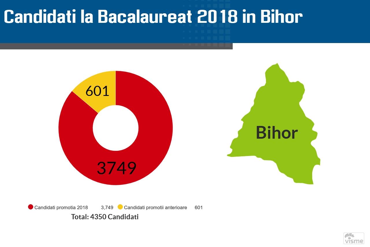 Rezultatele la Bac 2018 in Bihor se afiseaza pe 4 iulie