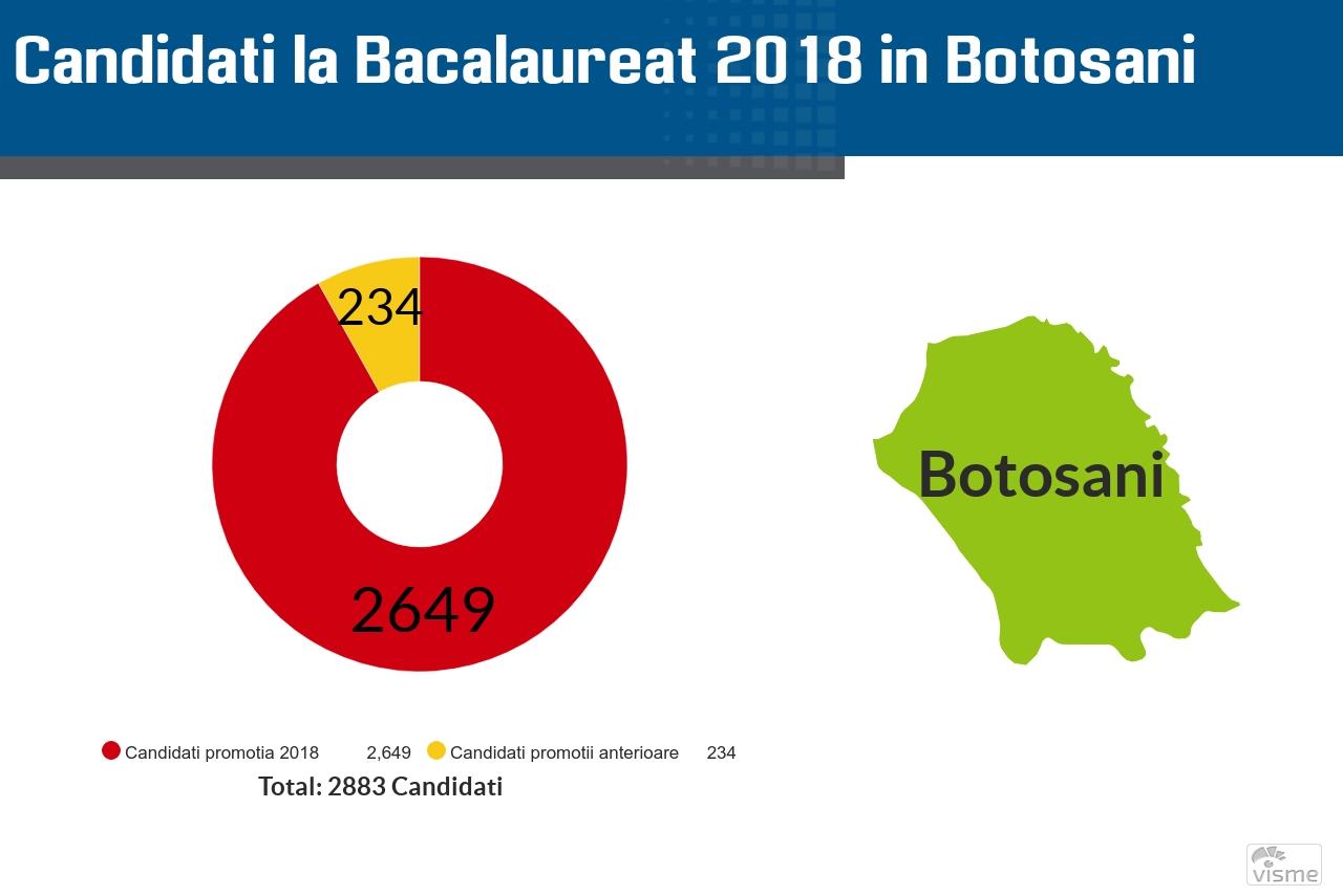 Rezultatele la Bac 2018 in Botosani vor fi afisate pe 4 iulie
