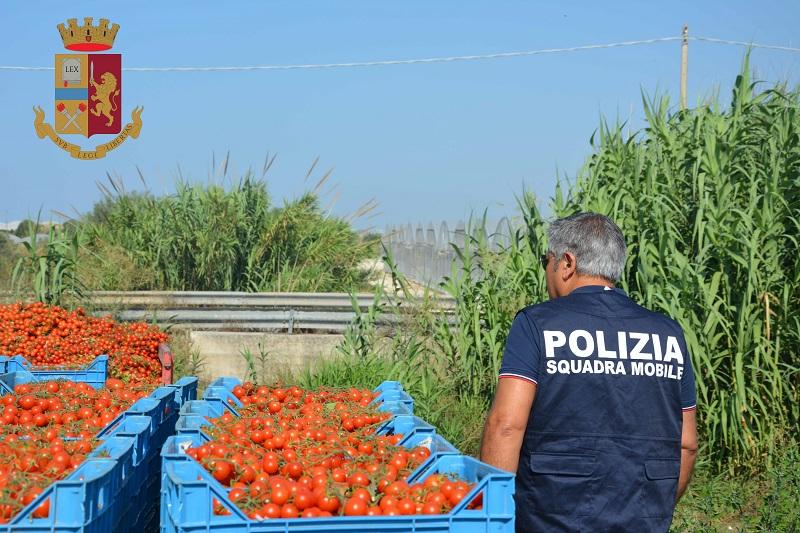 Romani vanduti ca sclavi in Italia, obligati sa munceasca ore in sir fara apa sau mancare