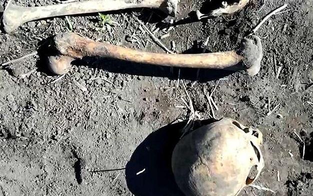 Descoperire macabră făcută de un bărbat, când planta cartofi în grădina soţiei sale. Şocat, a mers imediat la poliţie