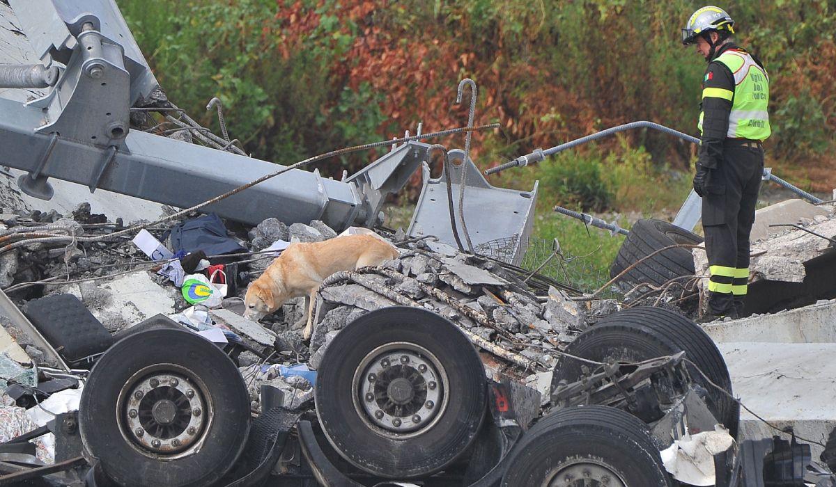 Un roman a scapat cu viata dupa ce un pod s-a prabusit la Genova