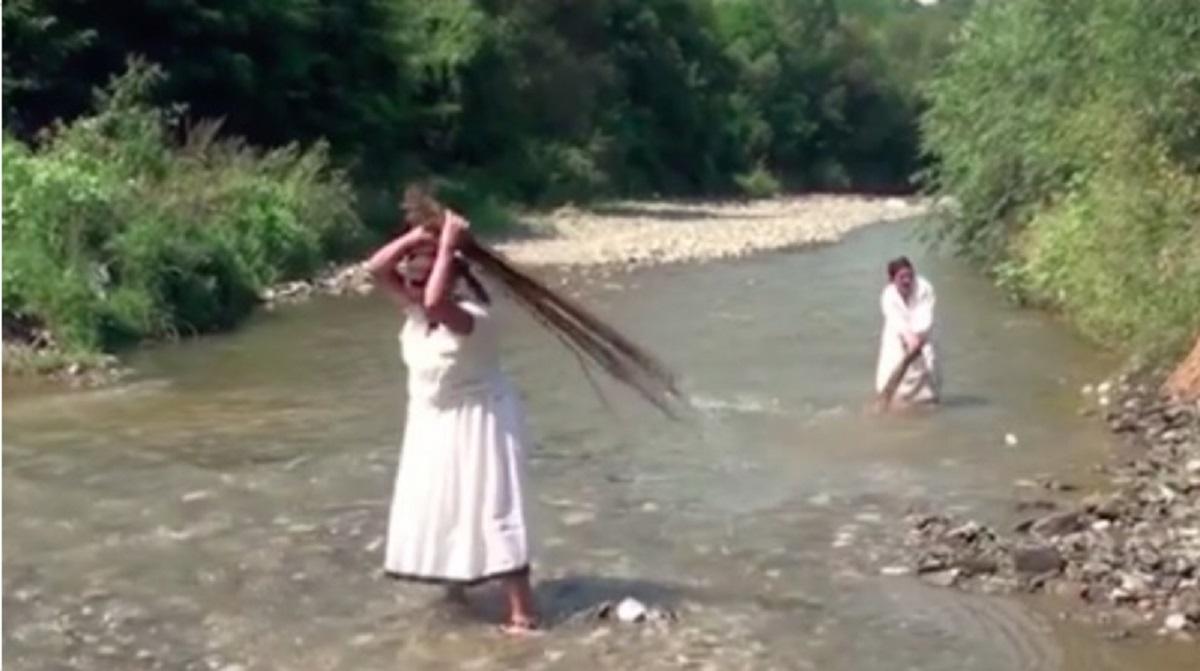 Cânepa se cultivă din nou într-un sat din Alba