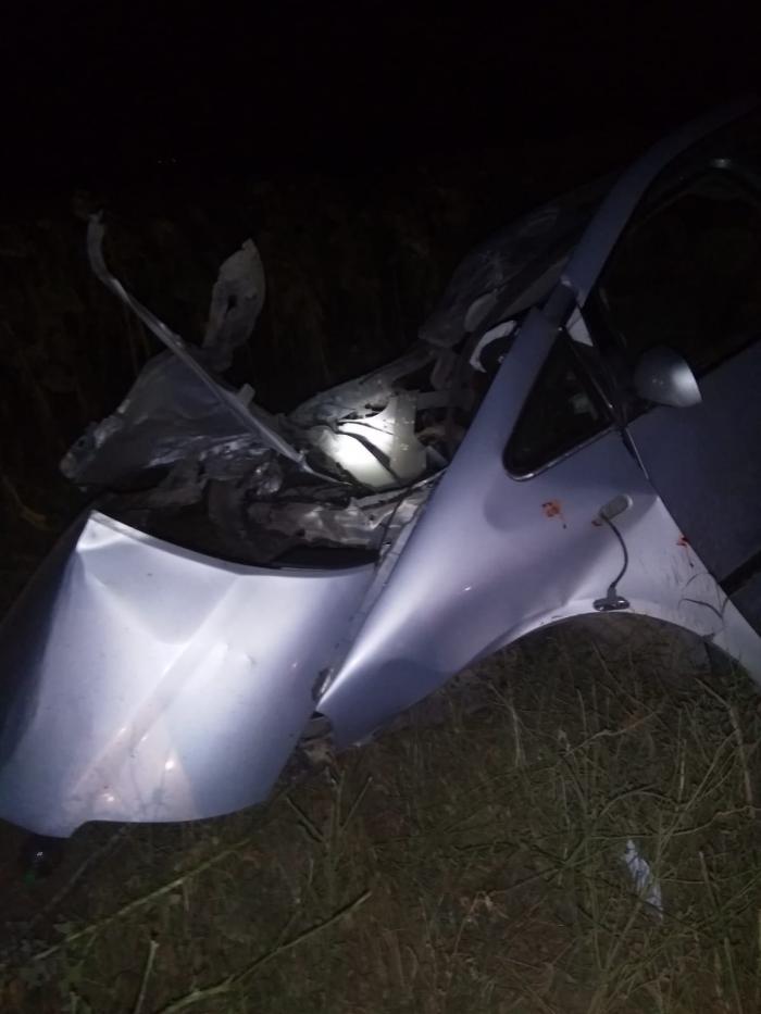 Accident teribil în Tulcea. Un tânăr a murit, altul a rămas fără picior după ce şoferul de 17 ani, beat şi fără permis, s-a izbit cu maşina de un copac