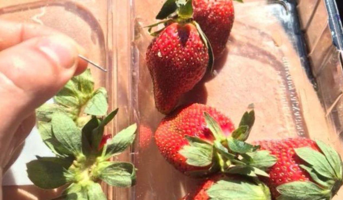 Căpşuni cu ace, vândute într-un magazin. Anchetă de amploare în Australia