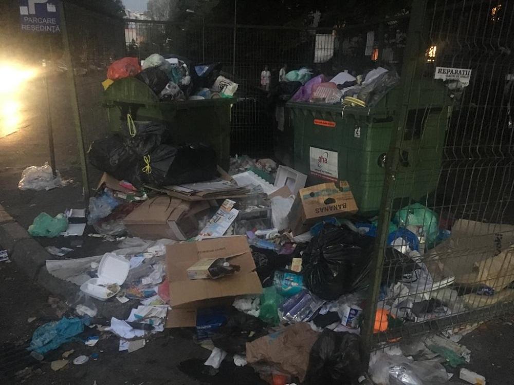 Munti de gunoaie in sectorul 3 al Bucurestiului