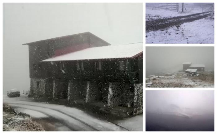 Ninge in Romania