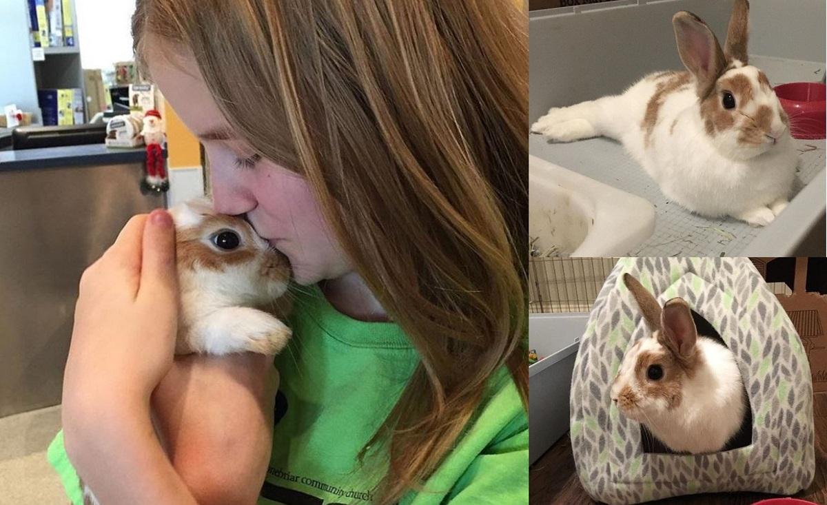 Iepuraşul Peter, un blănos afectuos