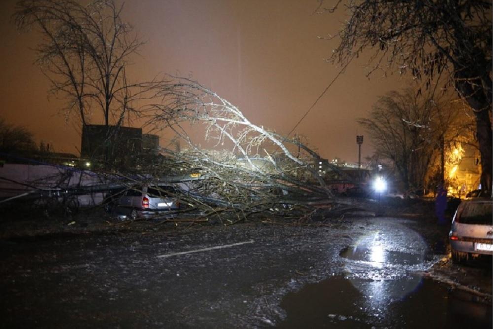 Zeci de copaci doborâţi de vânt în Bucureşti