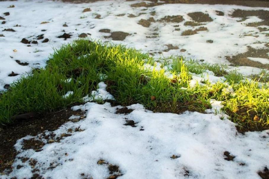 Vremea în februarie 2019 Prognoza ANM pe două săptămâni