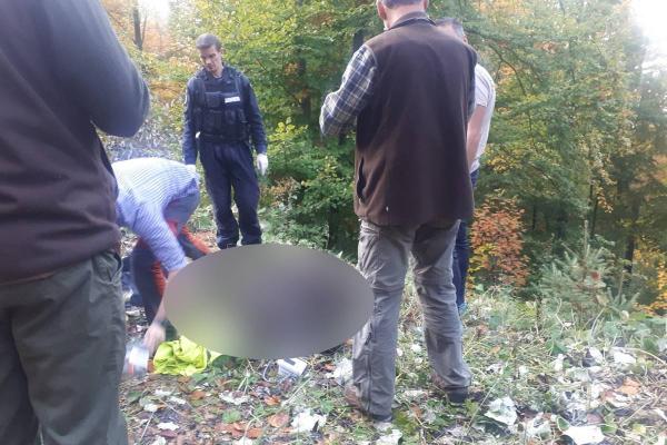 Ursul urmează să fie operat la picior