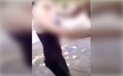 Fata a fost agresata de alte adolescente în Parcul Mitropoliei din Târgovişte