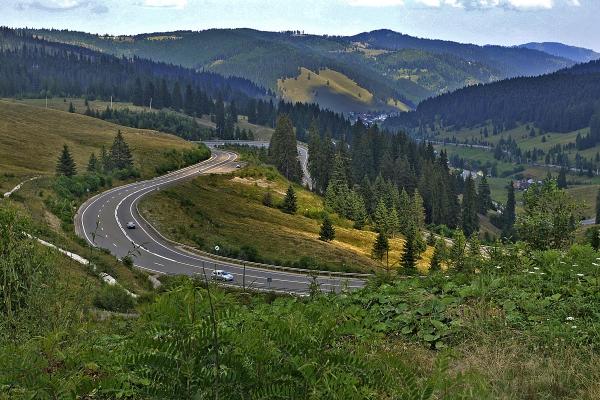 Poliţiştii vor acţiona pentru protejarea pădurilor
