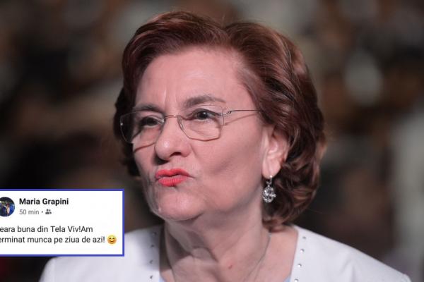 Ambasada Suediei, postare ironică după gafa Mariei Grapini