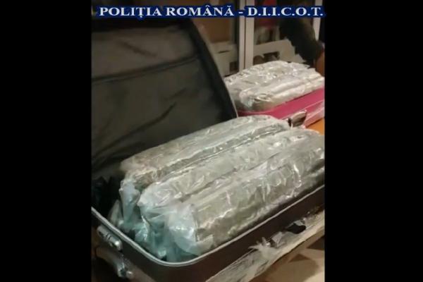 Zeci de kilograme de droguri ridicate de la ilfovean şi soţia lui