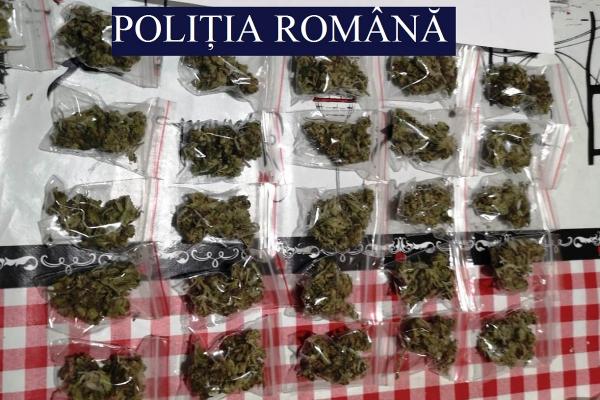 Drogurile urmau să fie comercializate pe raza judeţului Constanţa