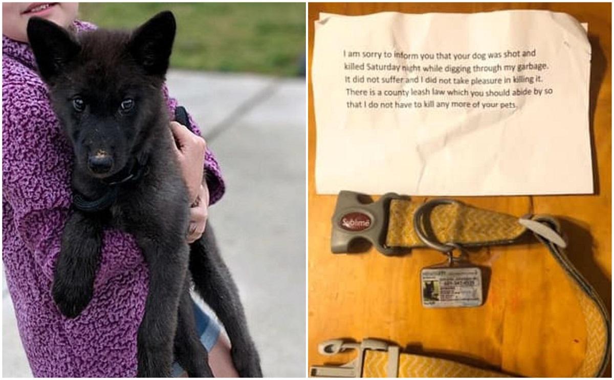 Scrisoarea anonimă anunţa faptul că patrupedul a fost omorât